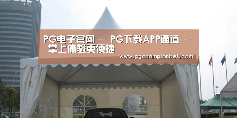 案例标题八