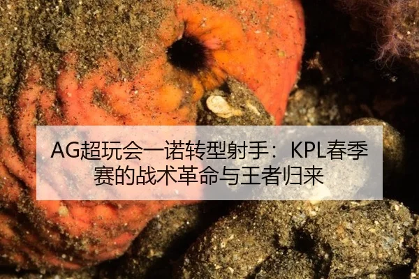 AG超玩会一诺转型射手：KPL春季赛的战术革命与王者归来