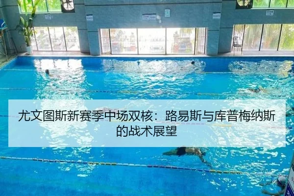 尤文图斯新赛季中场双核：路易斯与库普梅纳斯的战术展望