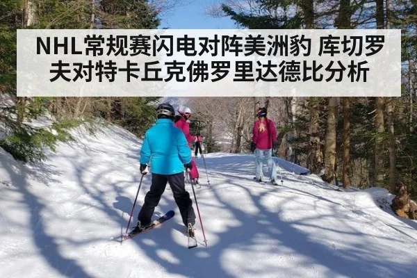 NHL常规赛闪电对阵美洲豹 库切罗夫对特卡丘克佛罗里达德比分析